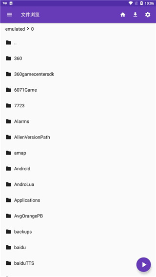 鸸鹋展翅引星流壁纸